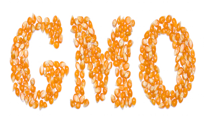 GMO-Corn_406x250