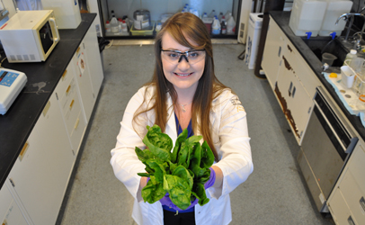 UCR-spinach1_406x250
