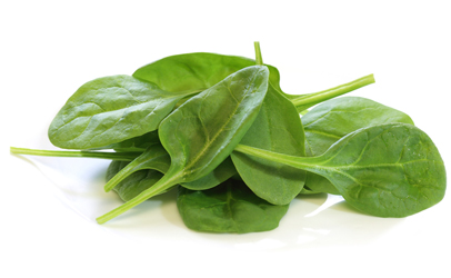 Baby-spinach_406x250