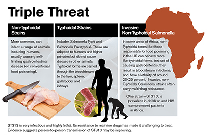 Triple Threat graphic Salmonella