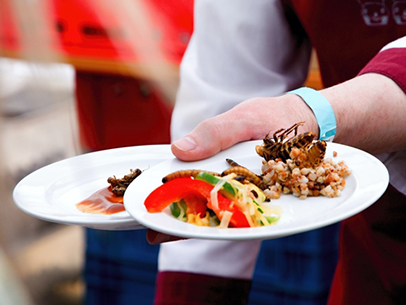 Plates of cooked insects