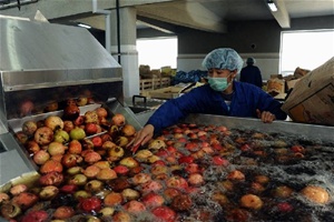 apple-processing