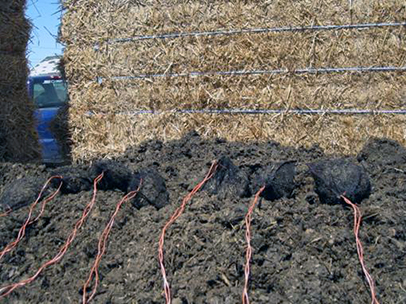 Nylon mesh bags filled with manure were placed at the top location of stockpiles. These mesh bags, attached with polyester twine, allowed the manure to be exposed to exterior conditions in the manure pyramid and to be collected manually.
