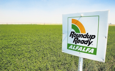 roundupralfalfa_406x250