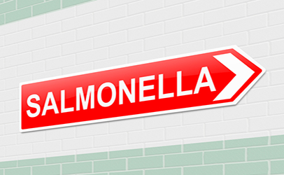 http://www.dreamstime.com/royalty-free-stock-photos-salmonella-concept-illustration-depicting-sign-image35373118