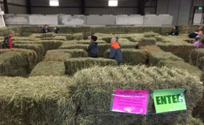 Older student volunteers built the hay bale maze that younger children played in at the festival. 