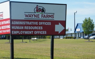 WayneFarms_406x250
