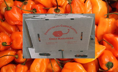 recalled-Montero-Farms-peppers