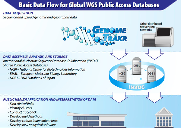 GenomeTrakr data flow