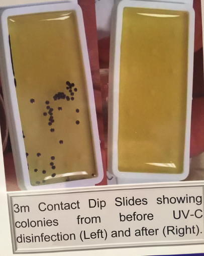 On the left, before treatment with ultraviolet light, pathogens are apparent. After UV-C treatment, (right) no pathogens are detected.