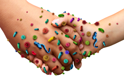 bacteria hand shake