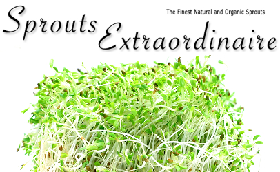 Sprouts Extraordinaire