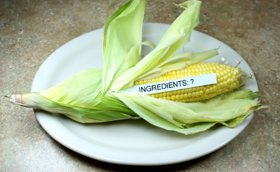 ear of corn ingredient label GMO