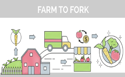 illustration farm to fork