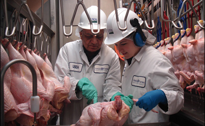 FSIS inspectors working in a chicken production facility. Photo courtesy of USDA/FSIS