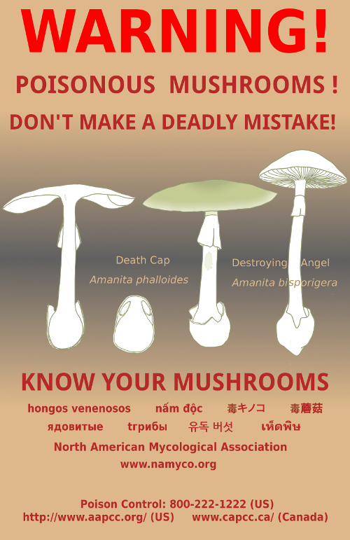 NAMA_mushroom Warning_Poster