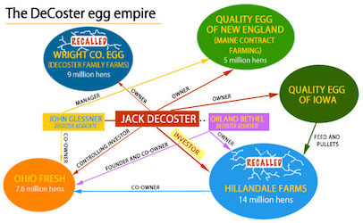 egg_infographic5_406X250