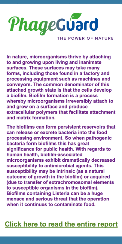 sponsored content Miceros biofilm listeriajpg