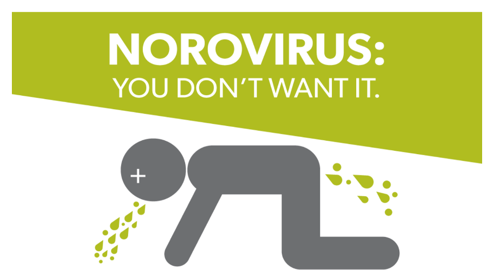 illustration graphic norovirus