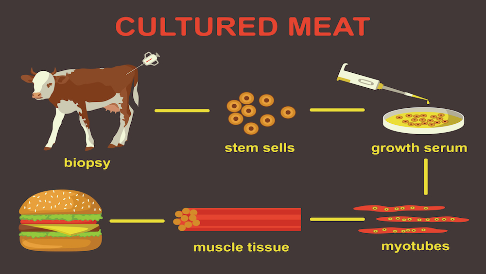 culturedmeat_1000x565