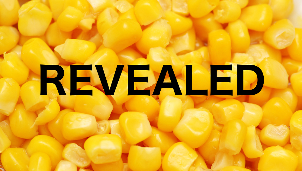 illustration corn supplier revealed