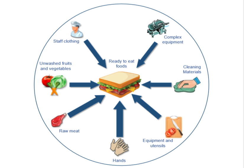 FSA wants views on E. coli O157 guidance revision Food Safety News