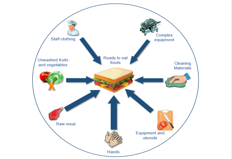 fsa e. coli cross contamination