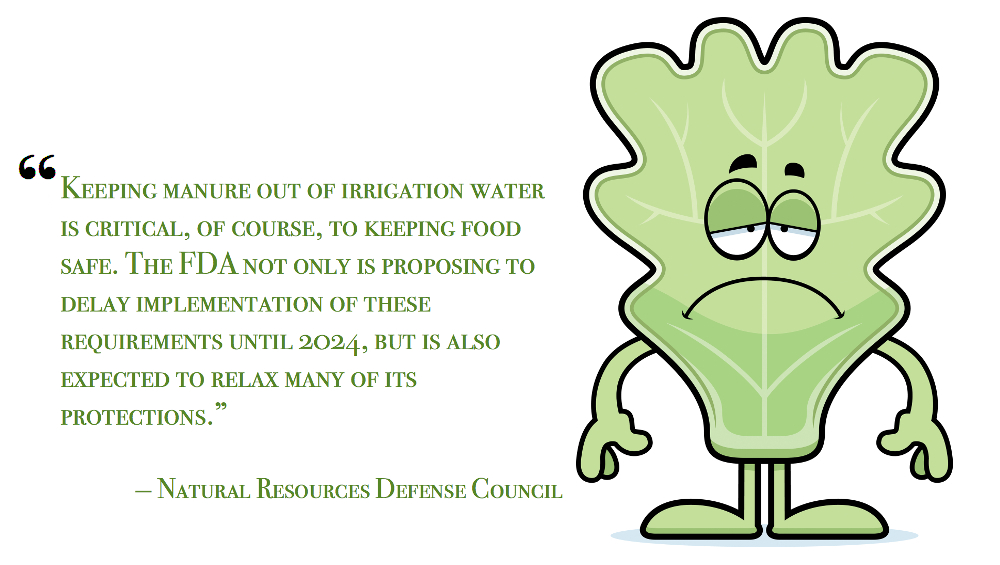 pull quote NRDC sad lettuce