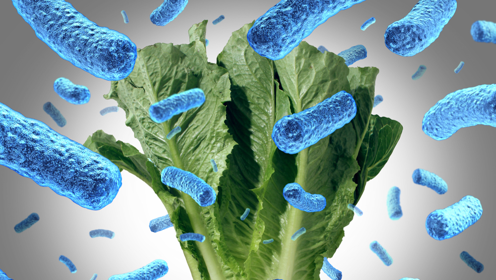 romaine pathogens illustration