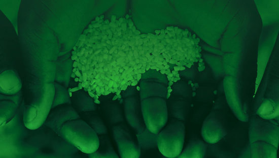 hands with rice
