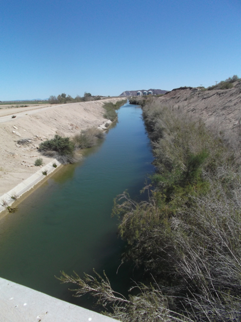 Wellton Mohawk canal Yuma feedlot in background