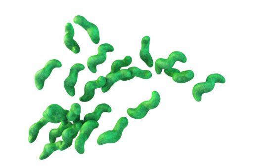 Education Department Sees Rise In >> Ireland Sees Rise In Campylobacter And Listeria Food Safety News Education Department Sees Rise In >> Ireland Sees Rise In Campylobacter And Listeria Food Safety News