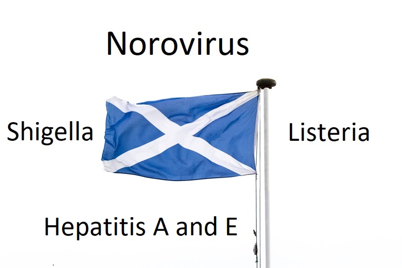 Scottish flag