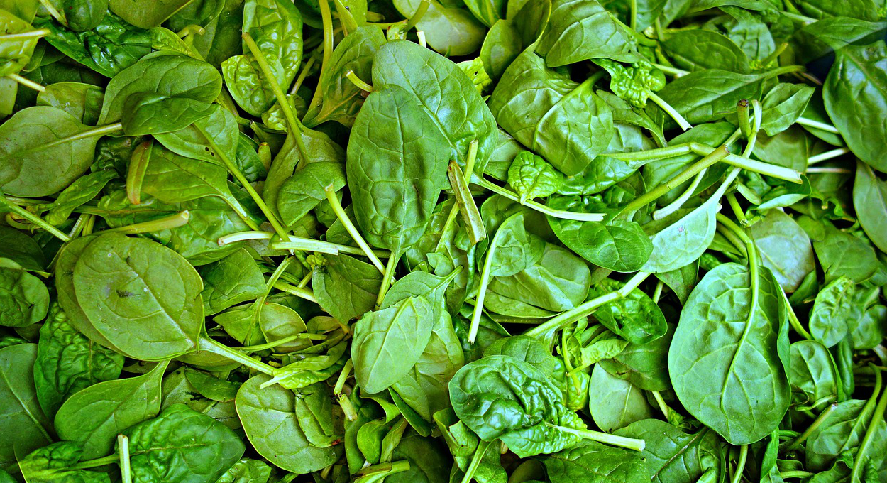 fresh spinach generic