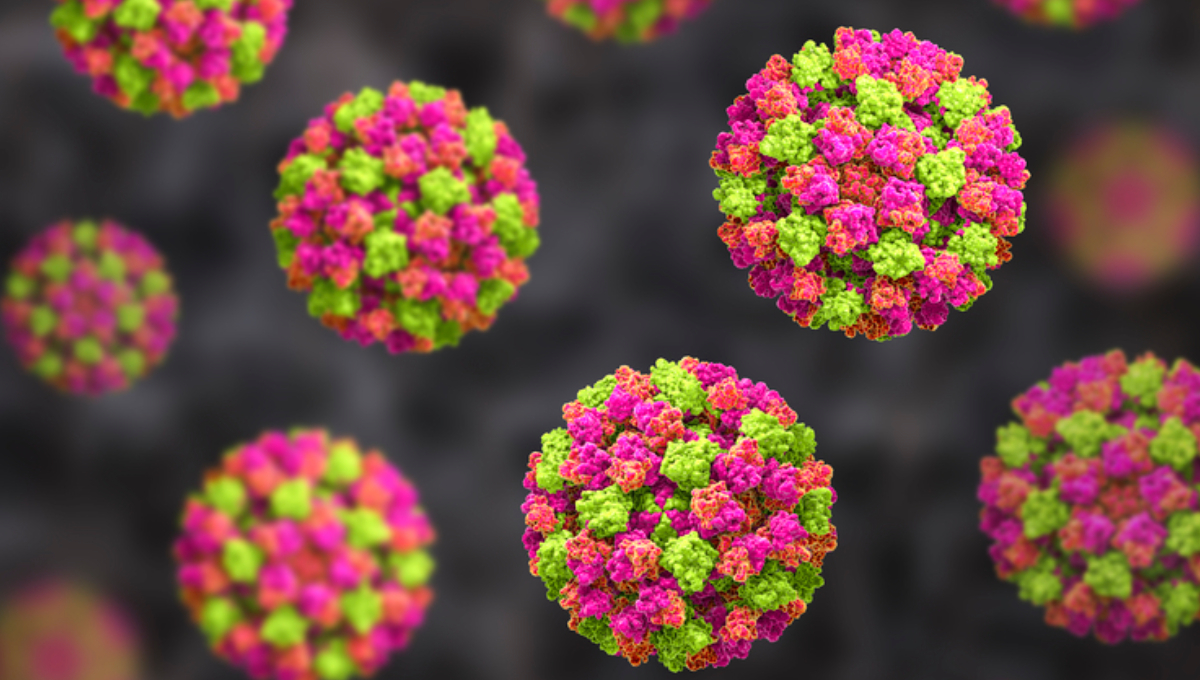 illustration norovirus