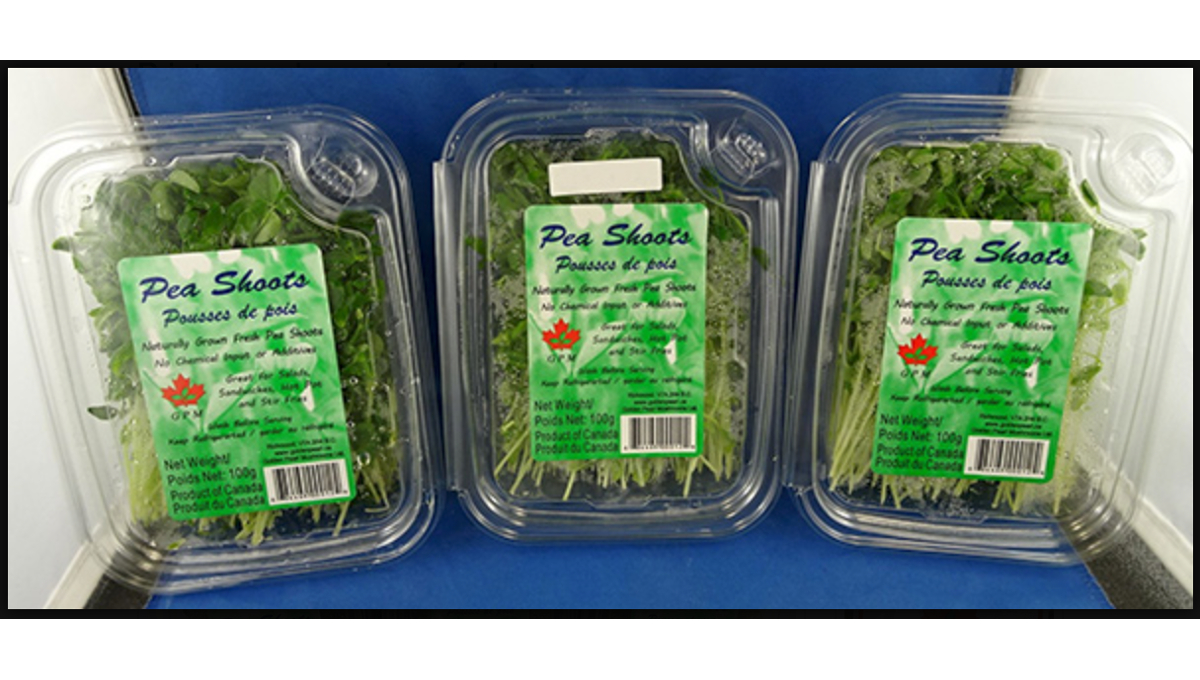 recalled pea shoots Listeria CFIA expansion