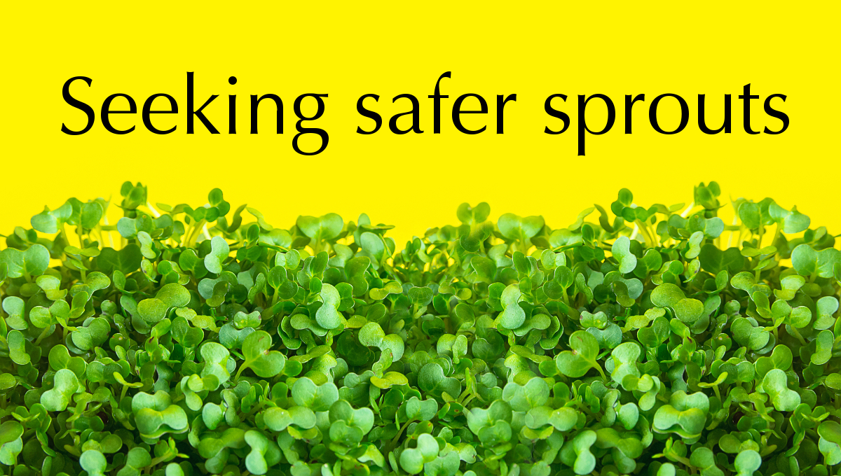 seeking safer sprouts