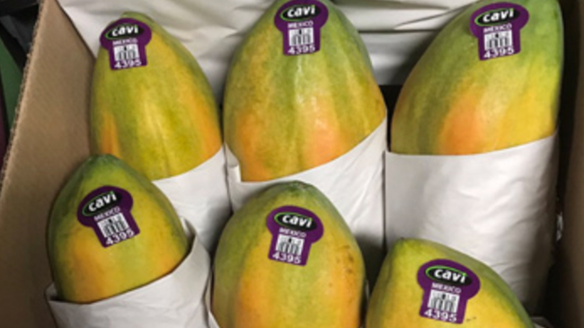 Cavi brand papayas