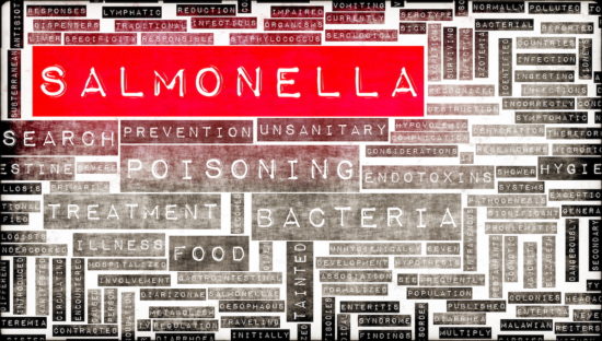 salmonella_1200x680-550x312.jpg