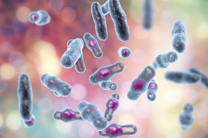 clostridium perfringens in food