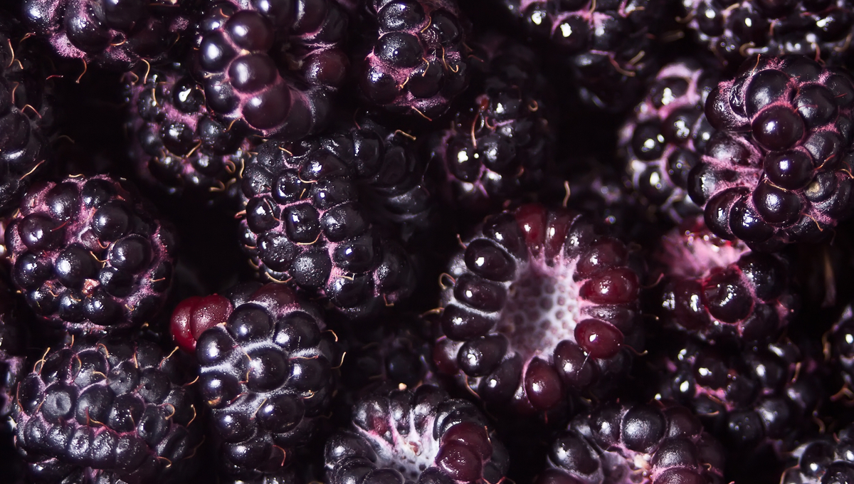 blackberries