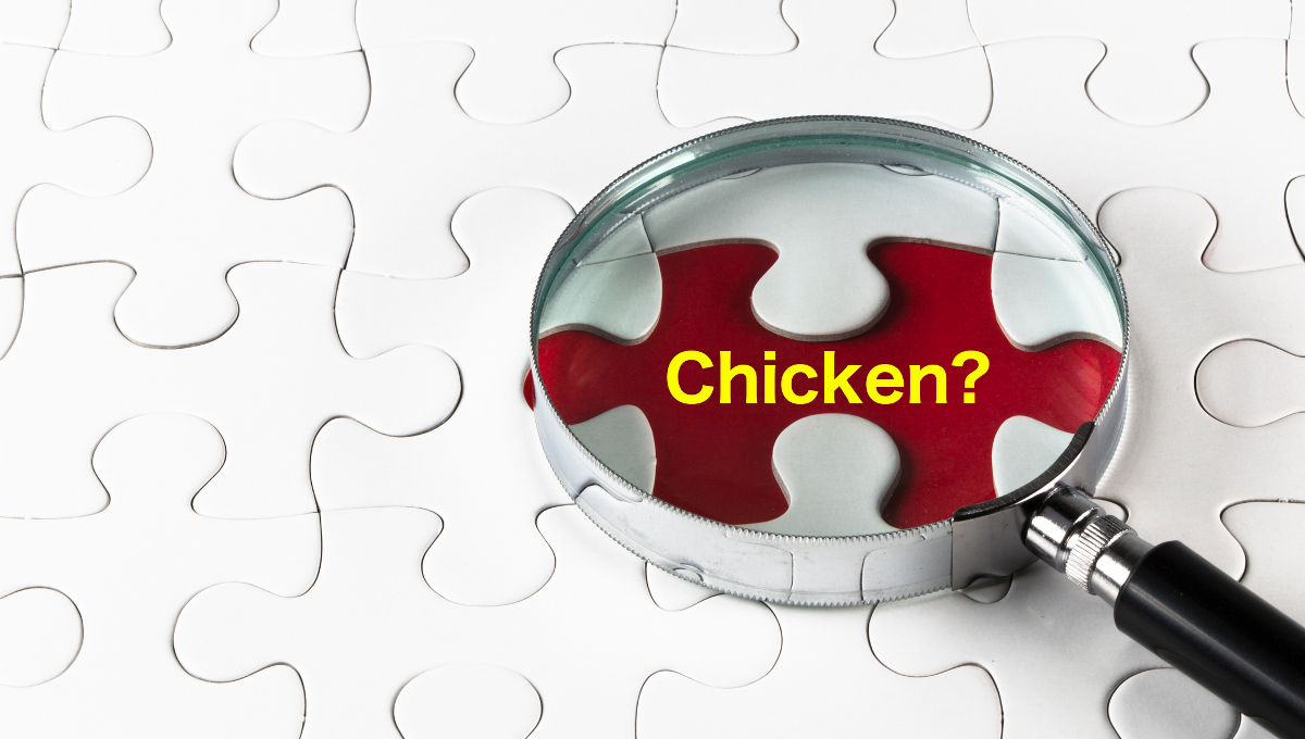 chicken magnifying glass question