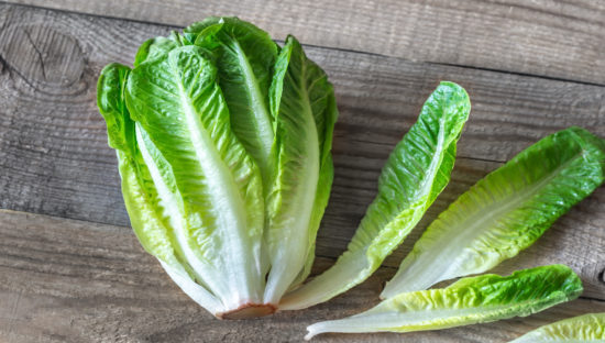 Image result for romaine lettuce"