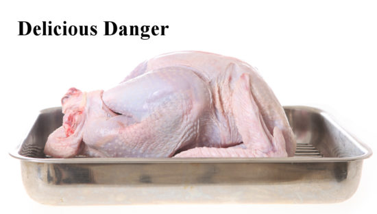 raw turkey delicious danger