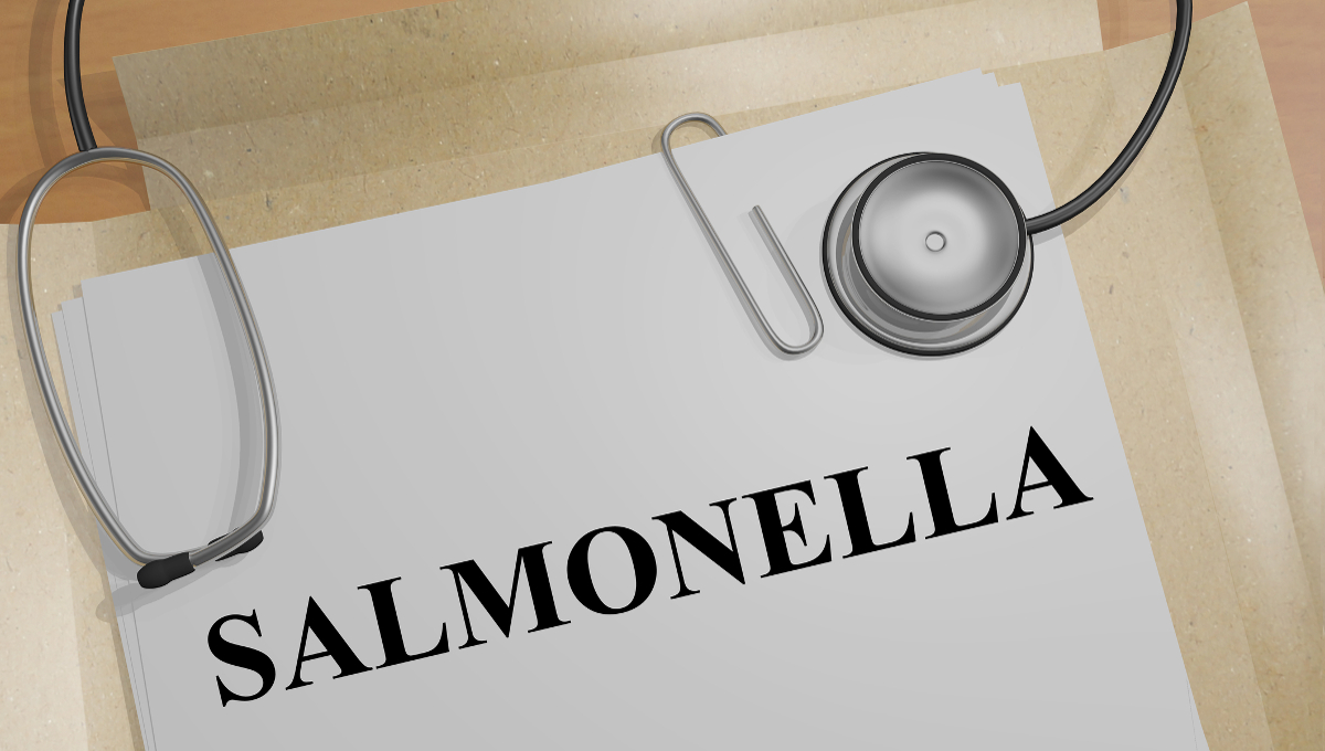 3D illustration of 'SALMONELLA' title on a medical document