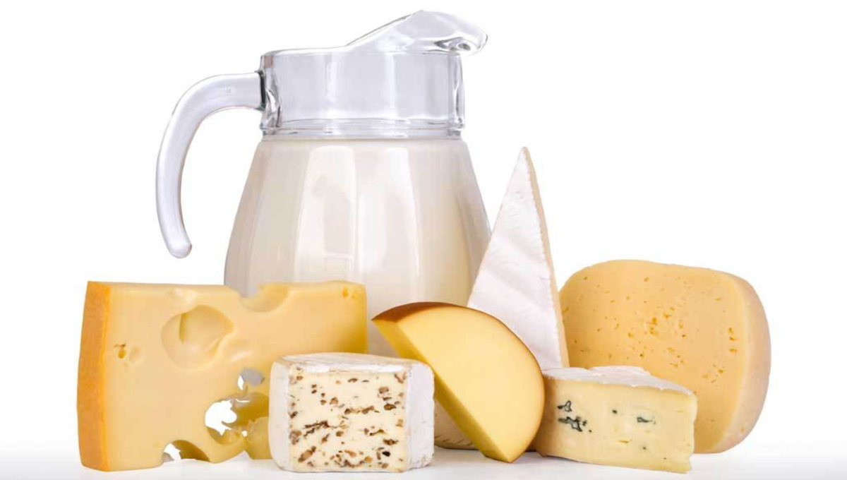 cheese assortment with milk