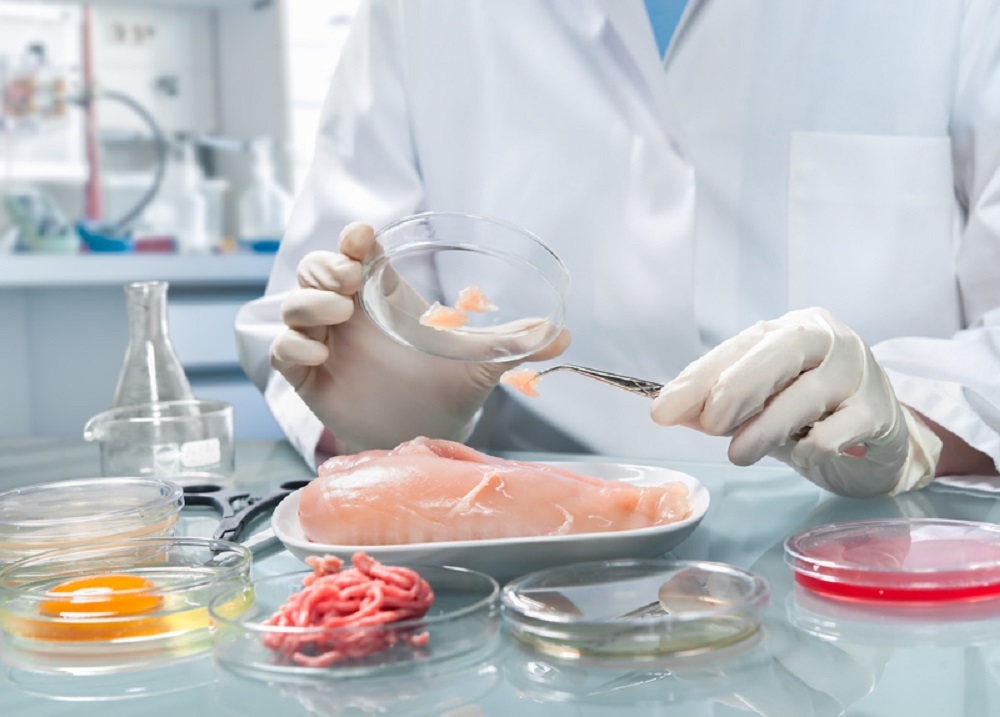 dreamstime_micro_food standards_food safety_meat