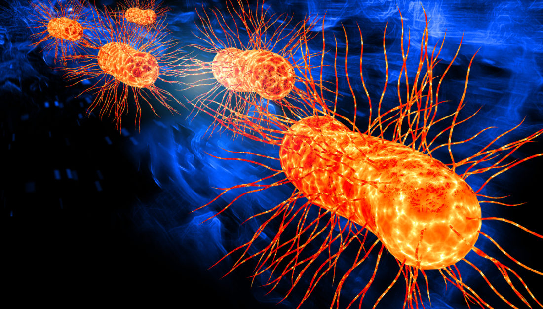 Publisher's Platform What you need to know about E. coli O157H7 and