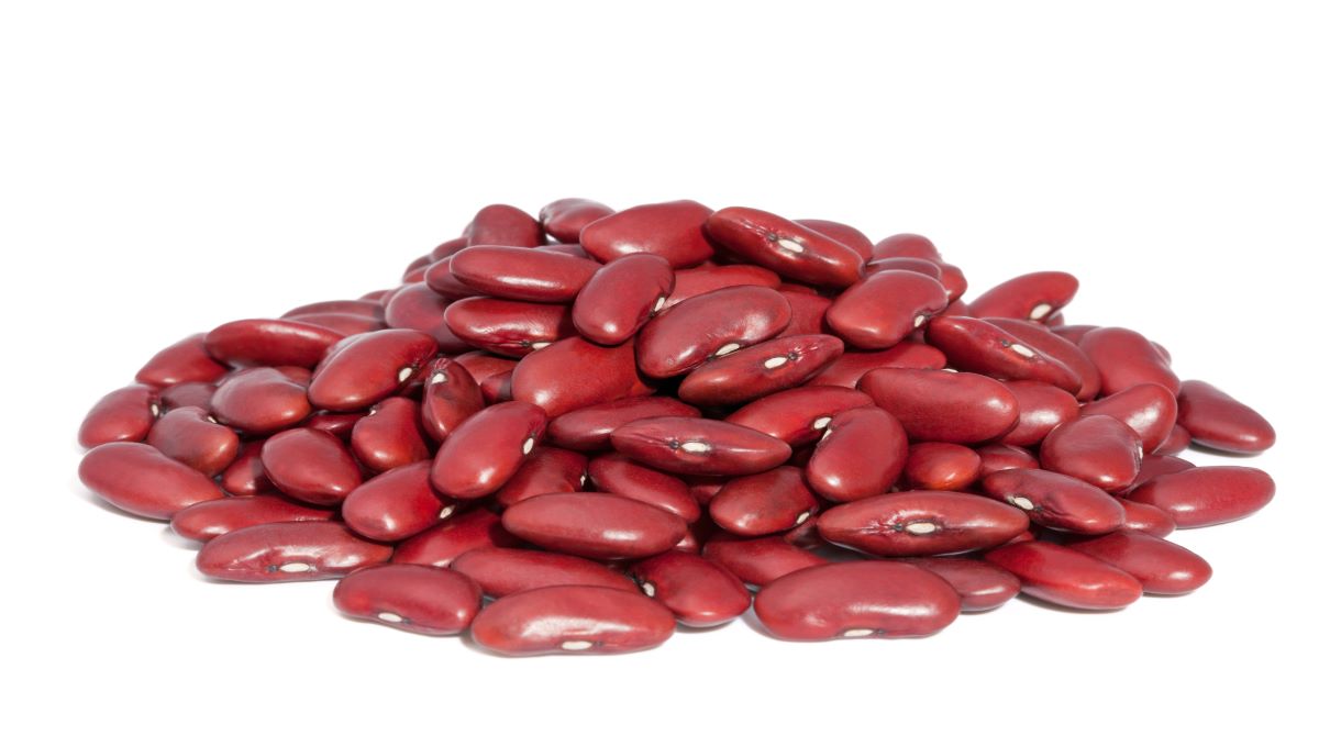 dreamstime_red kidney bean lectins