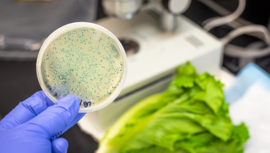 Romaine and pathogen